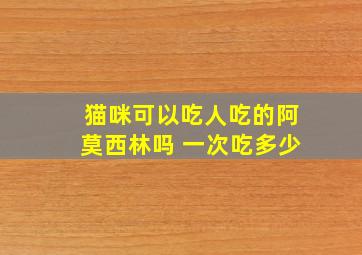 猫咪可以吃人吃的阿莫西林吗 一次吃多少